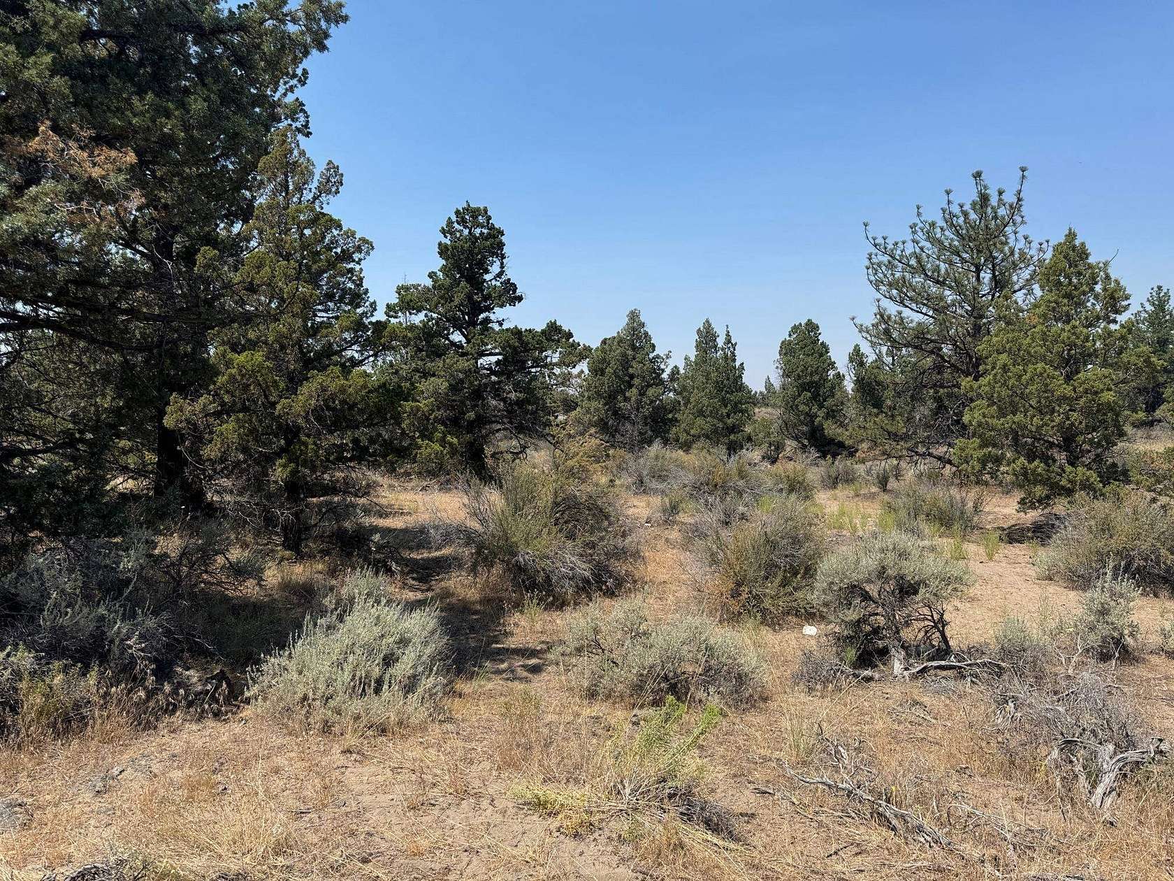 2.7 Acres of Land for Sale in Montague, California