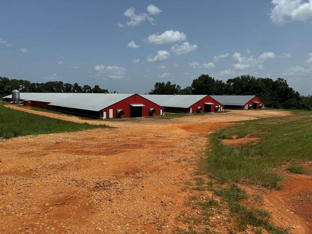 30 Acres of Agricultural Land for Sale in Banks, Alabama