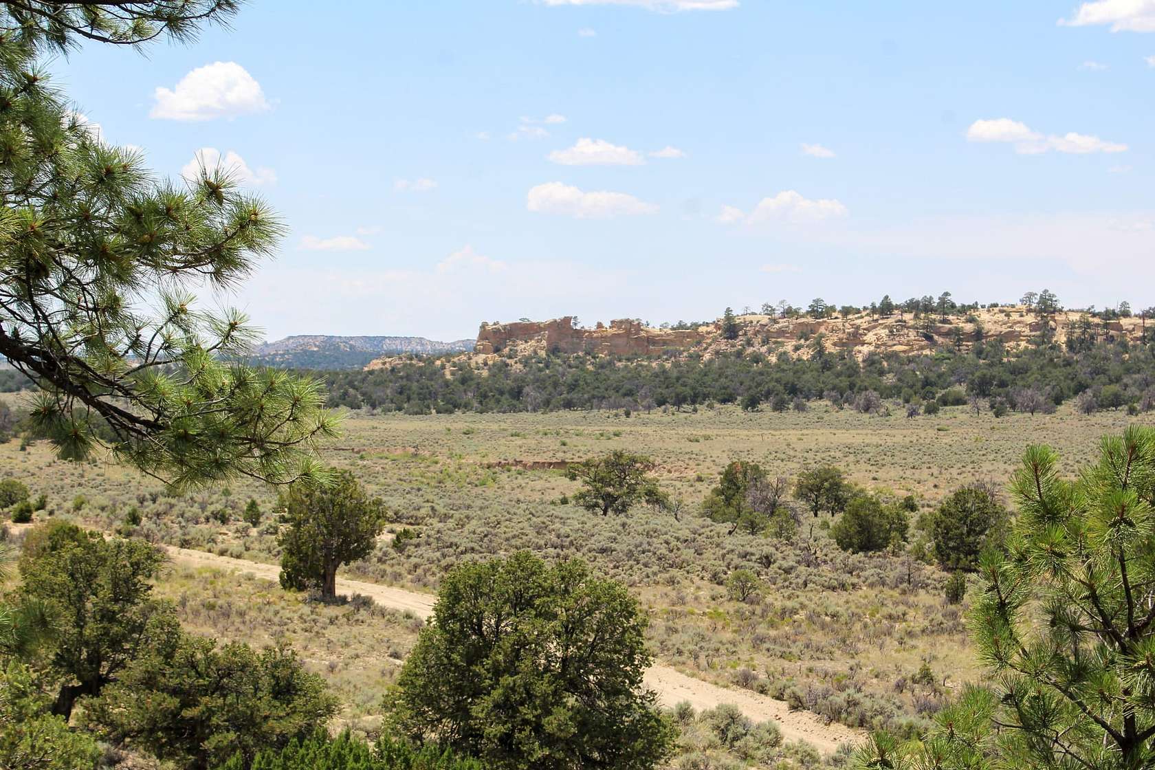 298 Acres of Recreational Land & Farm for Sale in Cuba, New Mexico