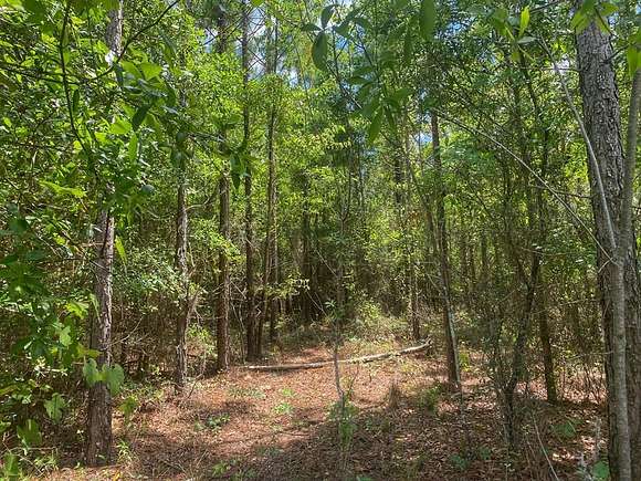 6 Acres of Land for Sale in Bell, Florida