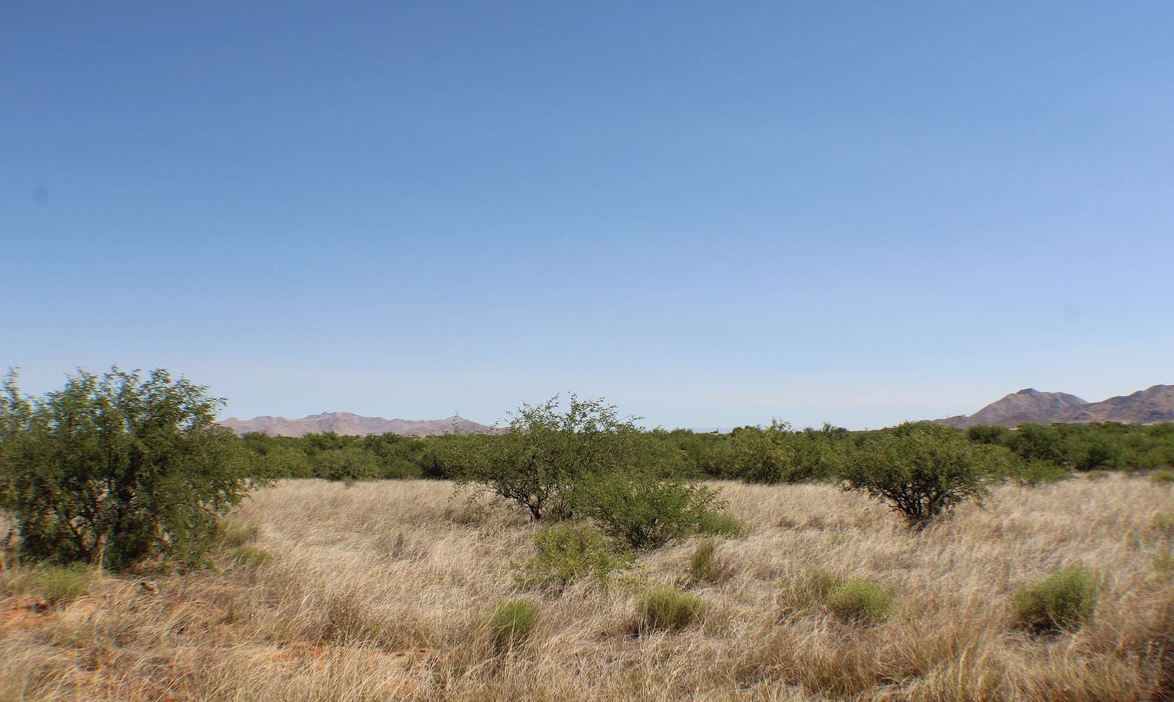 36.26 Acres of Recreational Land & Farm for Sale in St. David, Arizona