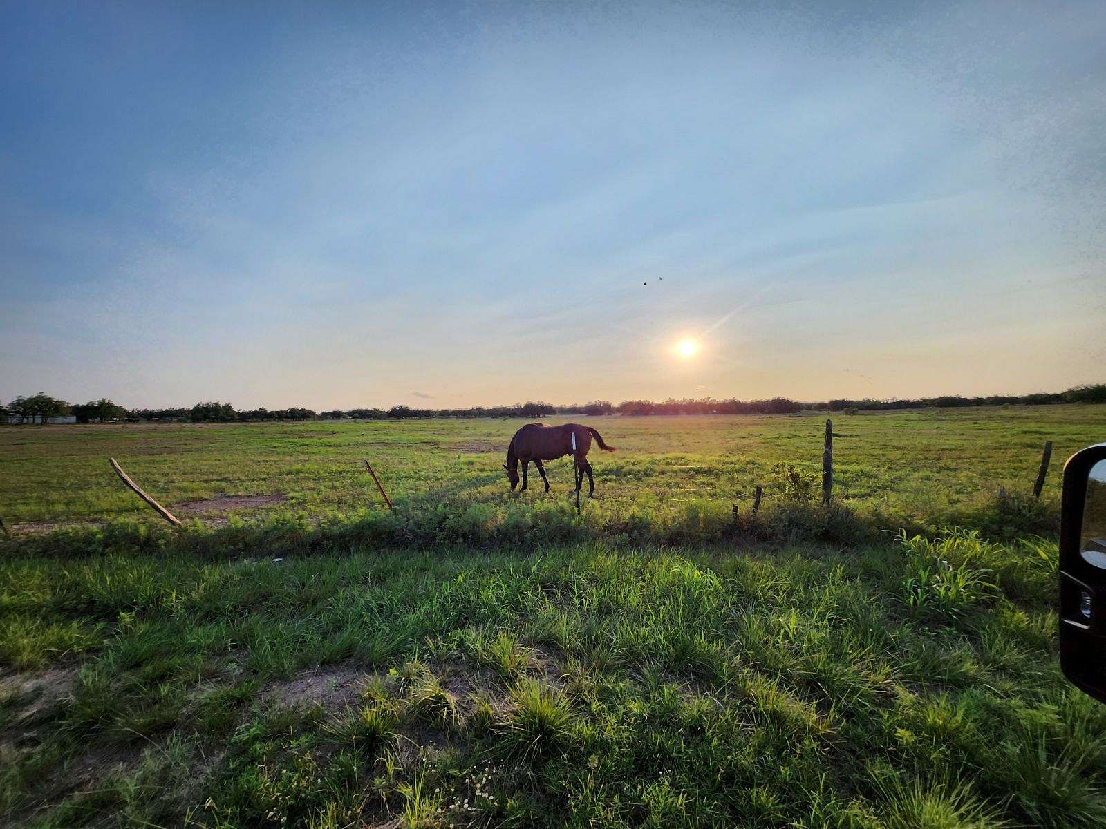 56.3 Acres of Land with Home for Sale in Eden, Texas - LandSearch