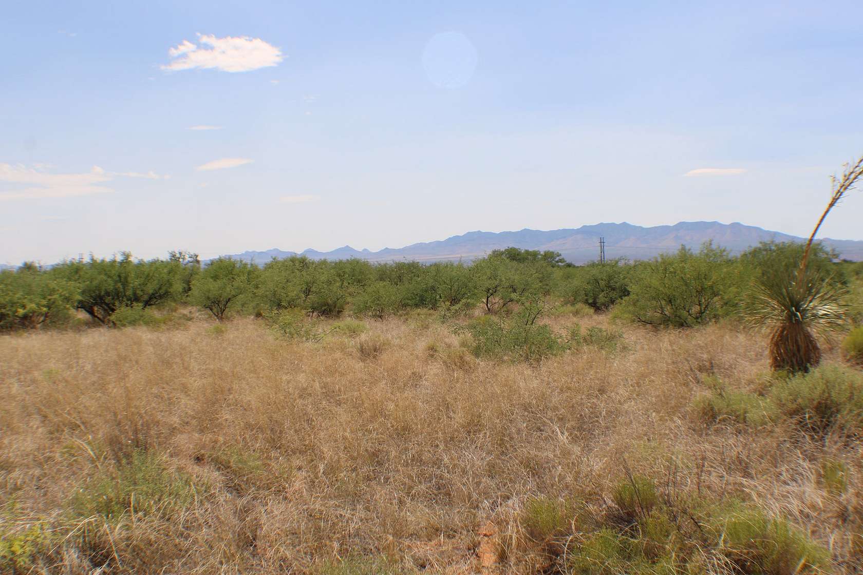 74.5 Acres of Land for Sale in St. David, Arizona