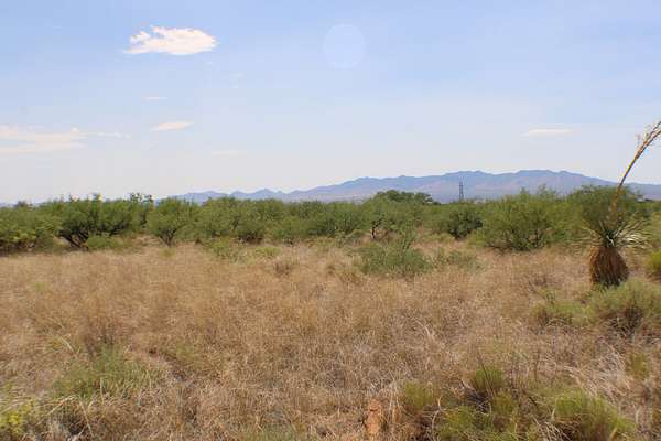 74.5 Acres of Land for Sale in St. David, Arizona