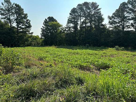 78.6 Acres of Land for Sale in Alton, Virginia