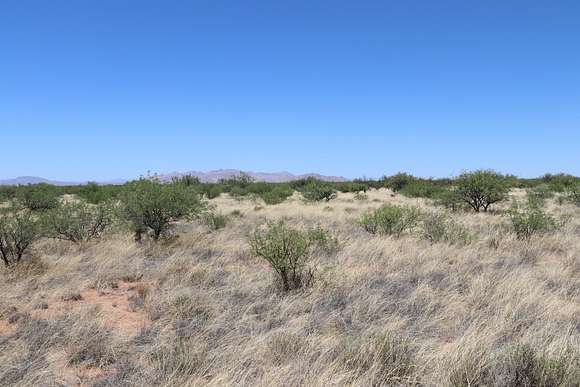 36.2 Acres of Land for Sale in St. David, Arizona