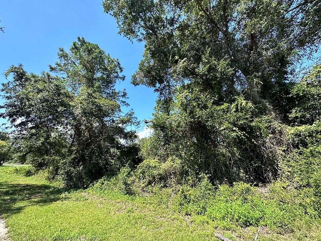0.2 Acres of Residential Land for Sale in Lanark Village, Florida