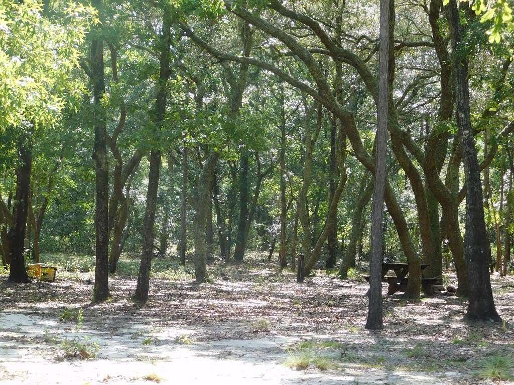 1 Acre of Residential Land for Sale in Reidsville, Georgia