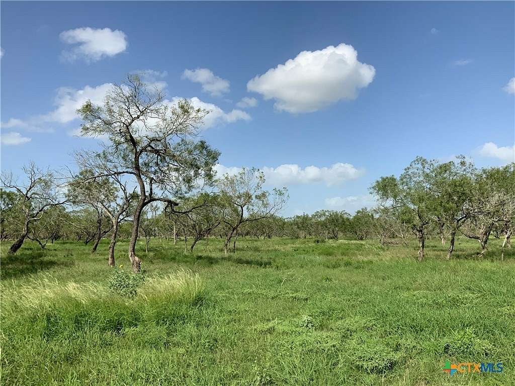 10.004 Acres of Land for Sale in Nixon, Texas