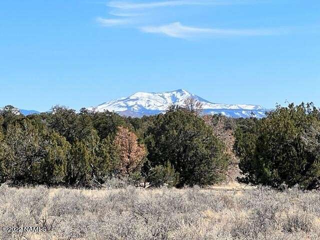 12 Acres of Recreational Land for Sale in Williams, Arizona