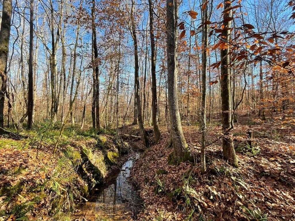 19.34 Acres of Land for Sale in Salem, Alabama