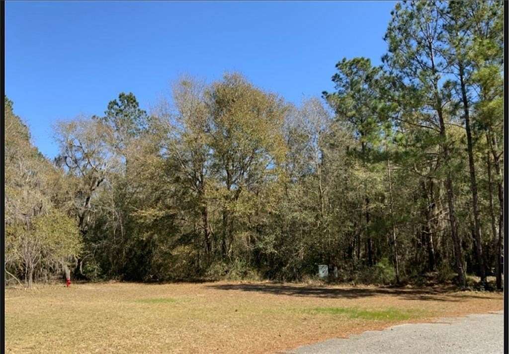 1.61 Acres of Residential Land for Sale in Townsend, Georgia