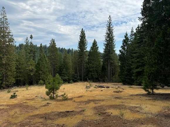 2.14 Acres of Residential Land for Sale in Volcano, California