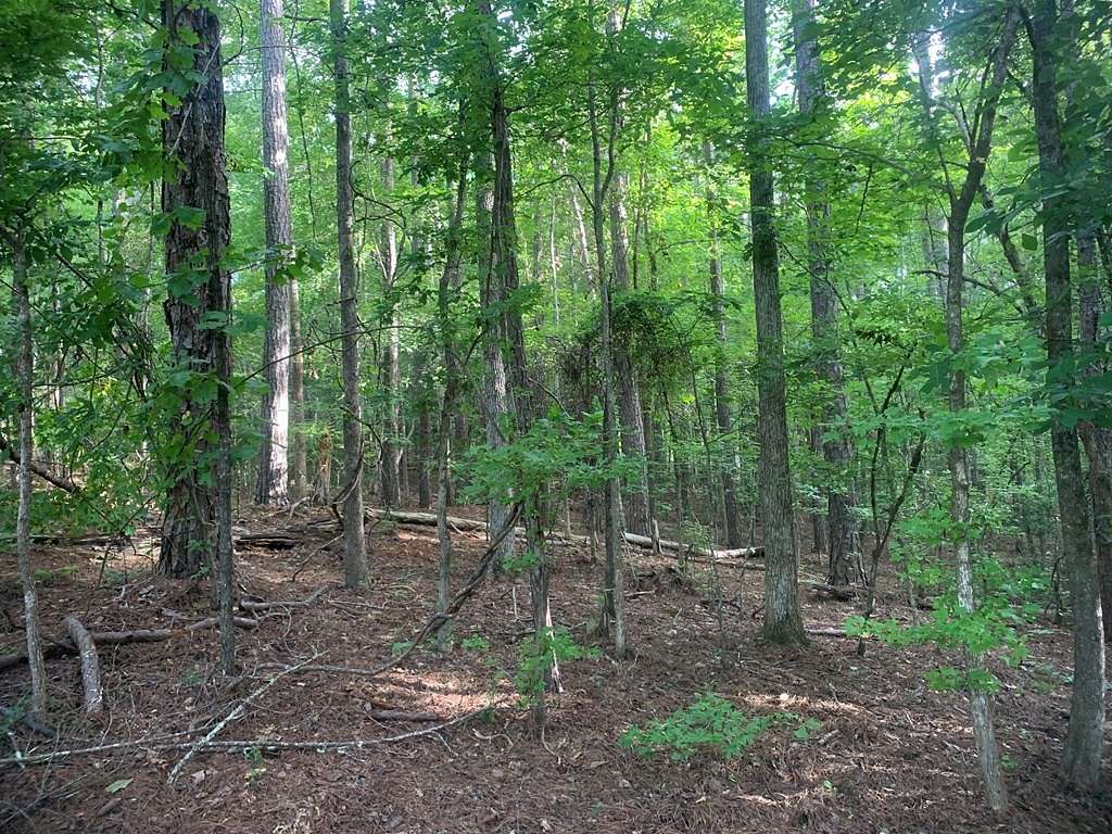 1.53 Acres of Residential Land for Sale in Waverly Hall, Georgia