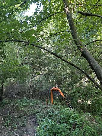 459 Acres of Recreational Land for Sale in Manchester, Kentucky