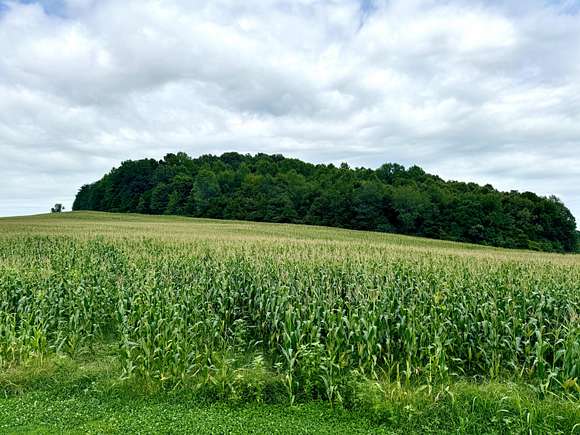 43.73 Acres of Land for Sale in Science Hill, Kentucky