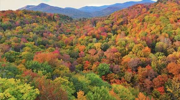 75 Acres of Recreational Land for Sale in Chittenden, Vermont