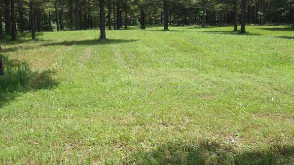 9.58 Acres of Land for Sale in Rose Bud, Arkansas