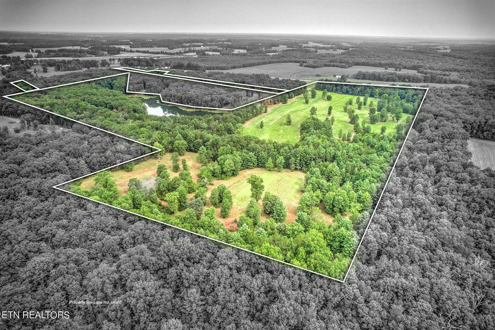 70 Acres of Land for Sale in Deer Lodge, Tennessee