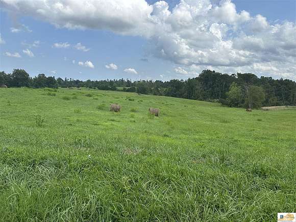 6 Acres of Land for Sale in Breeding, Kentucky