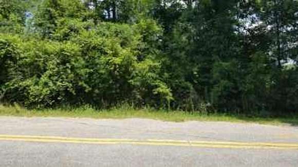 0.33 Acres of Residential Land for Sale in Chattahoochee, Florida