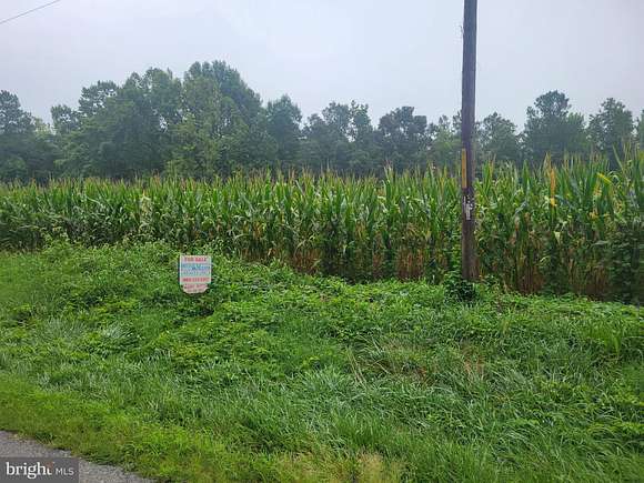 10 Acres of Agricultural Land for Sale in Milford, Virginia