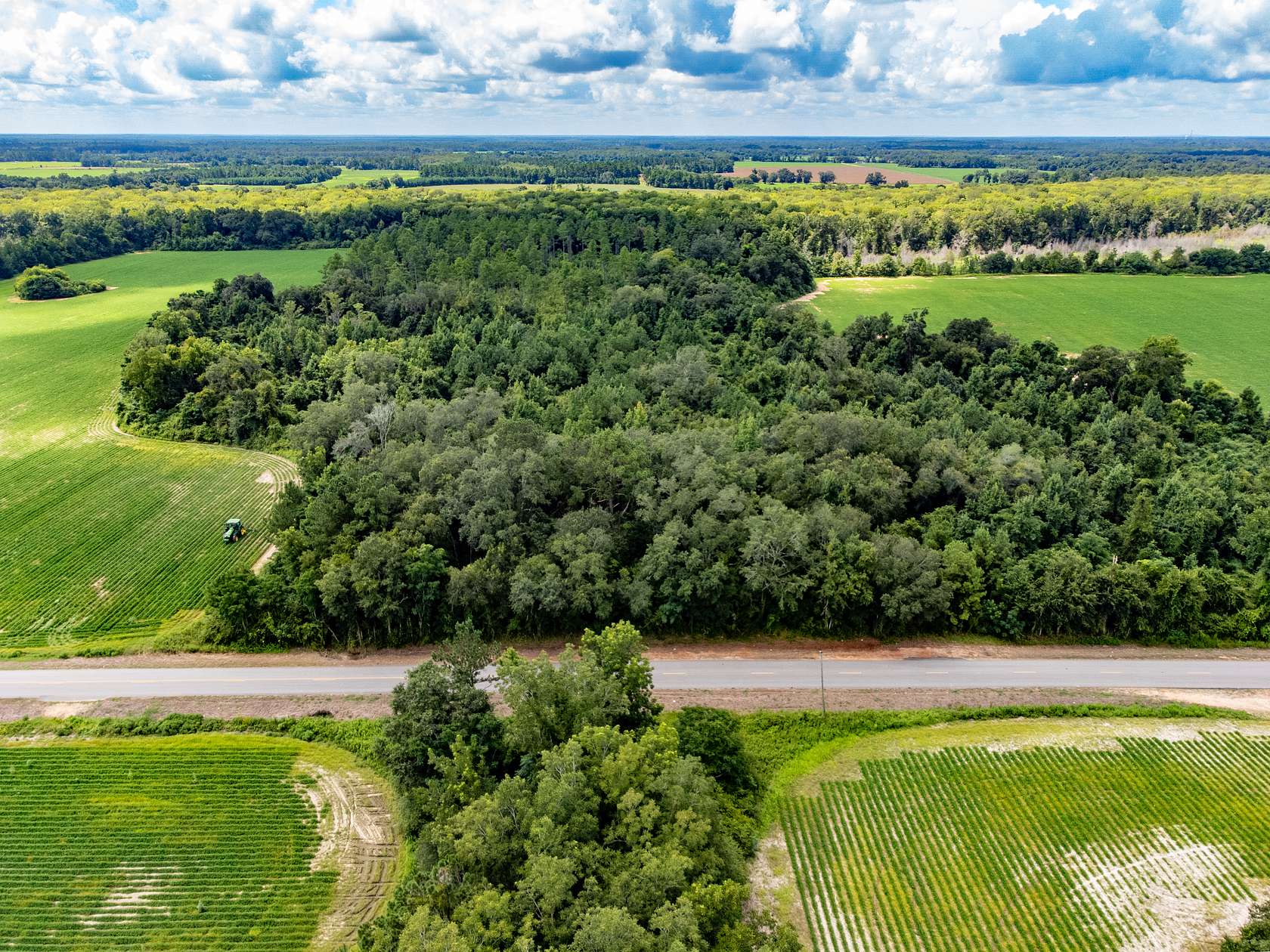 37 Acres of Agricultural Land for Sale in Cottonwood, Alabama