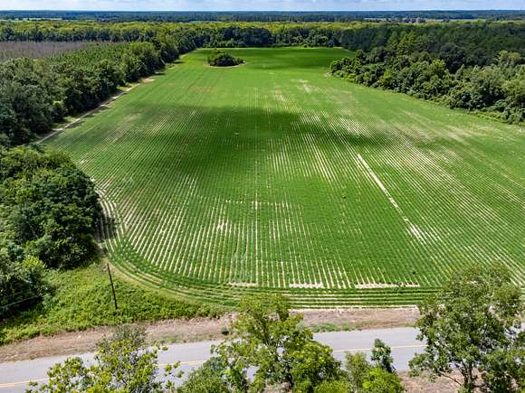 33 Acres of Agricultural Land for Sale in Cottonwood, Alabama