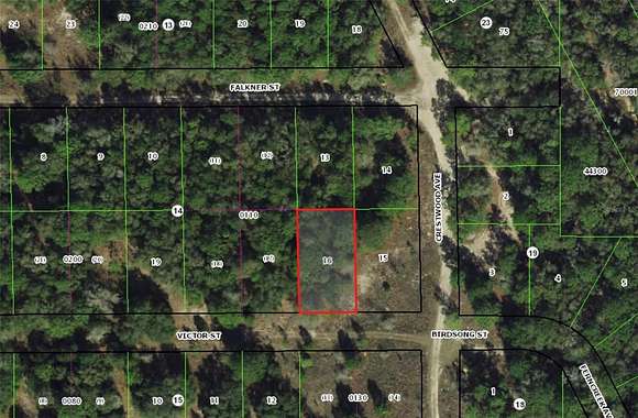 0.23 Acres of Land for Sale in Inverness, Florida