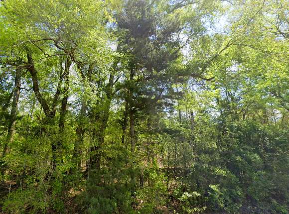 1 Acre of Residential Land for Sale in Dozier, Alabama