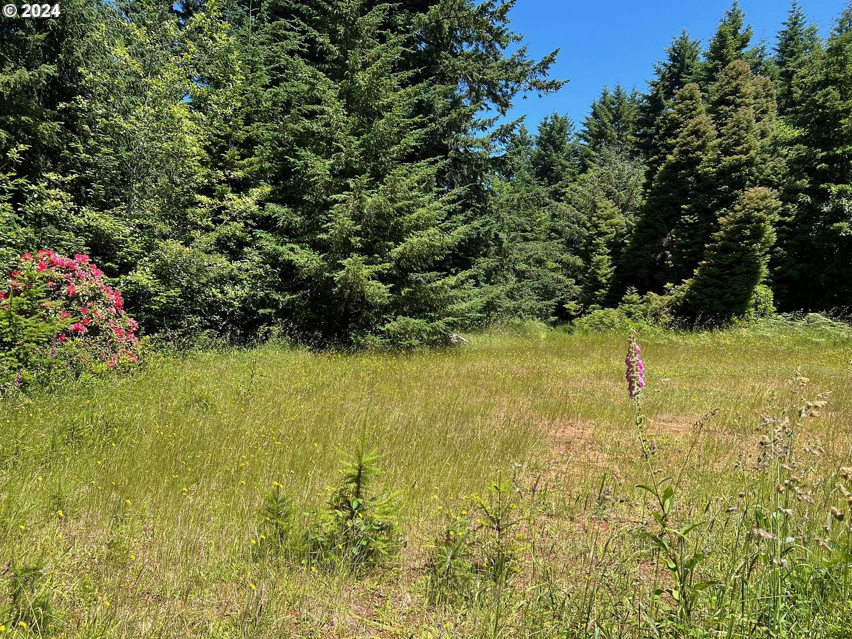 5 Acres of Land for Sale in Brookings, Oregon