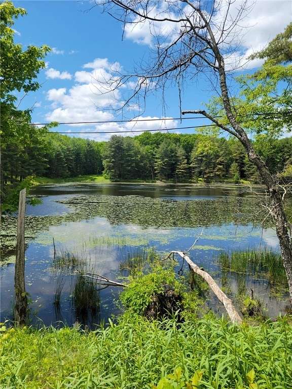 5.02 Acres of Land for Sale in Pittsfield, New York