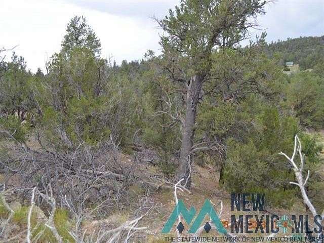 20 Acres of Recreational Land for Sale in Ramah, New Mexico