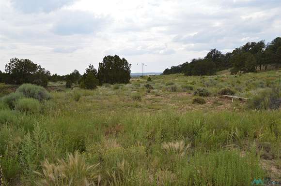 5 Acres of Residential Land for Sale in Pinehill, New Mexico