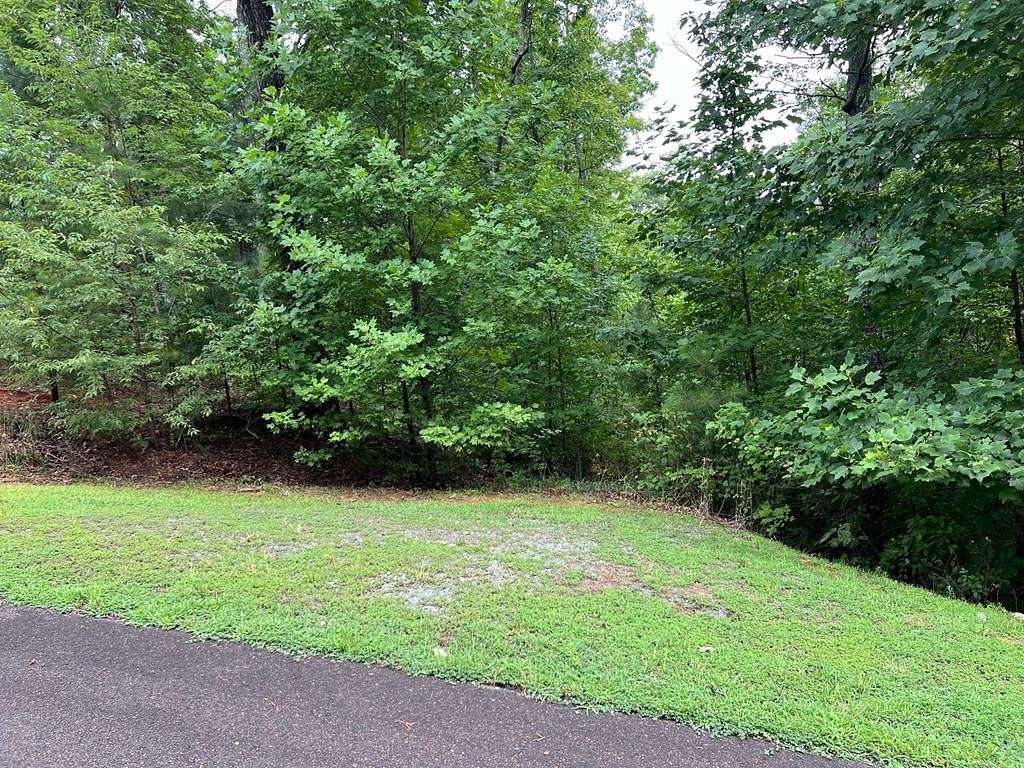 2.9 Acres of Residential Land for Sale in Ellijay, Georgia