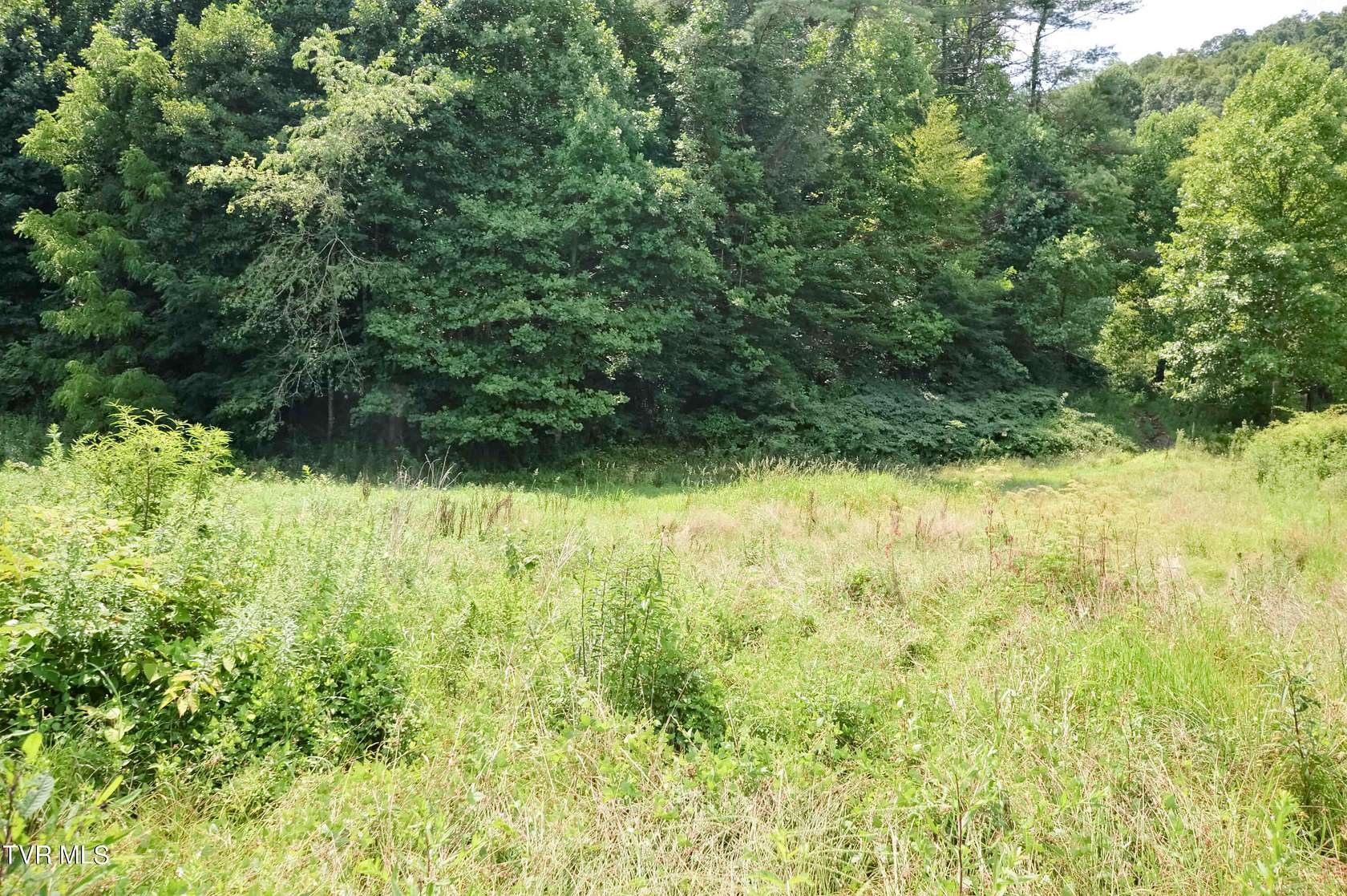 22.8 Acres of Recreational Land for Sale in Hampton, Tennessee - LandSearch