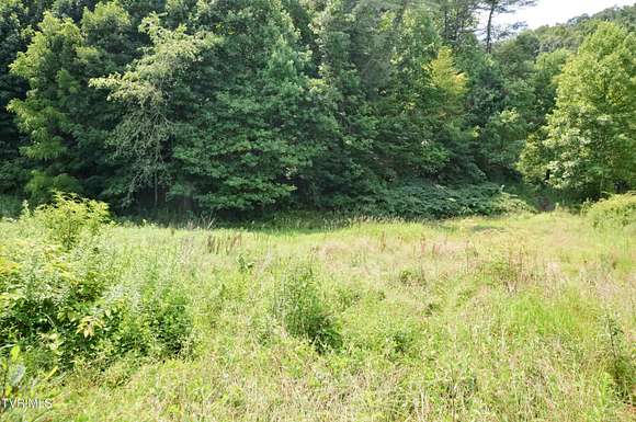 22.78 Acres of Recreational Land for Sale in Hampton, Tennessee