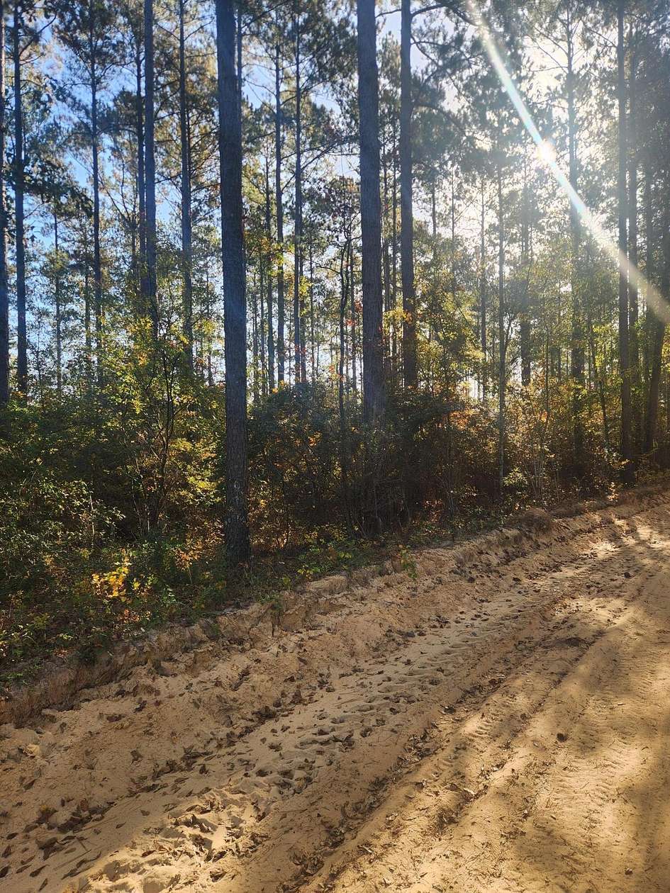 1.56 Acres of Land for Sale in Wagener, South Carolina