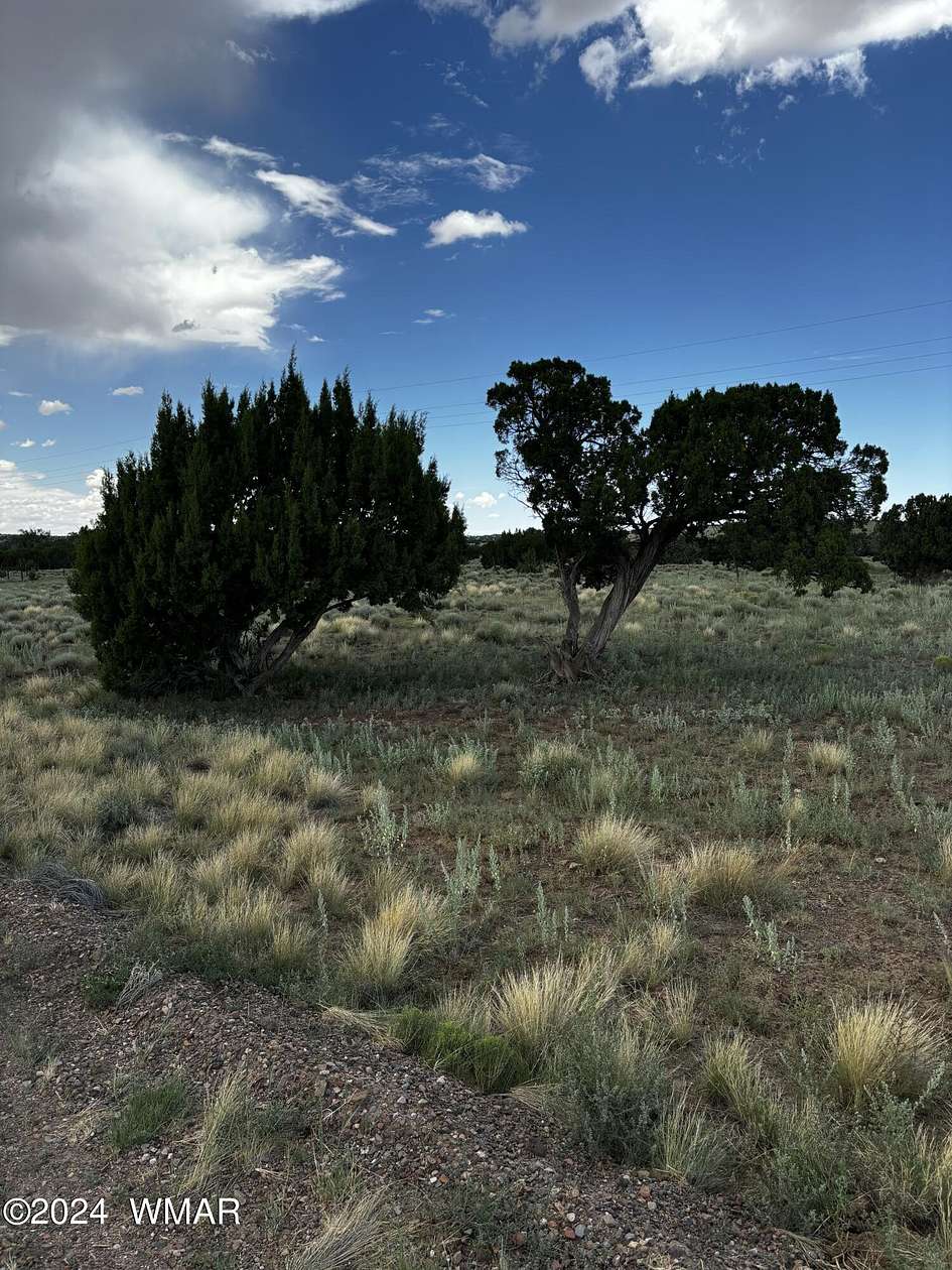 0.23 Acres of Residential Land for Sale in Concho, Arizona