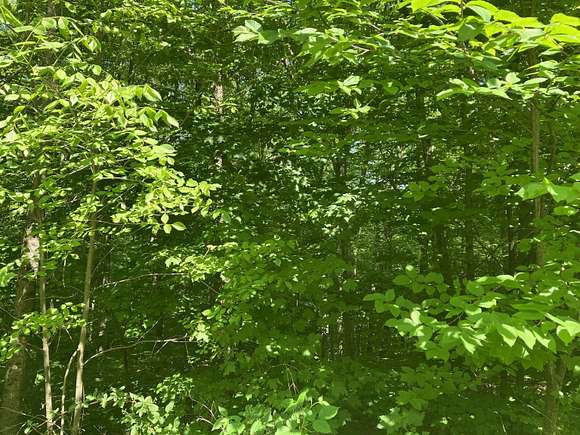 0.6 Acres of Residential Land for Sale in Wilmington, Vermont