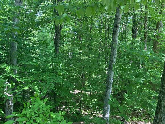 0.6 Acres of Residential Land for Sale in Wilmington, Vermont