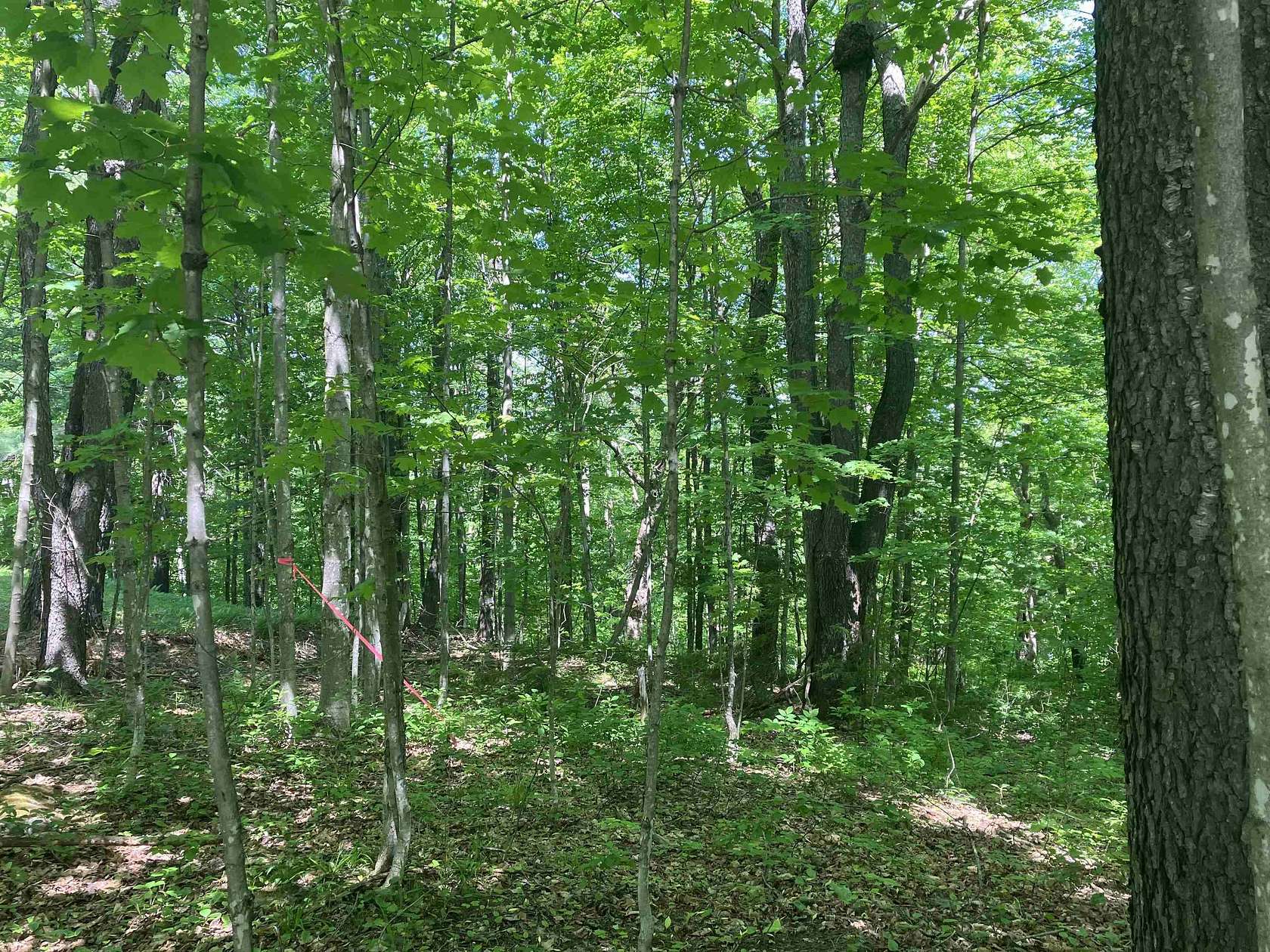 0.56 Acres of Residential Land for Sale in Wilmington, Vermont