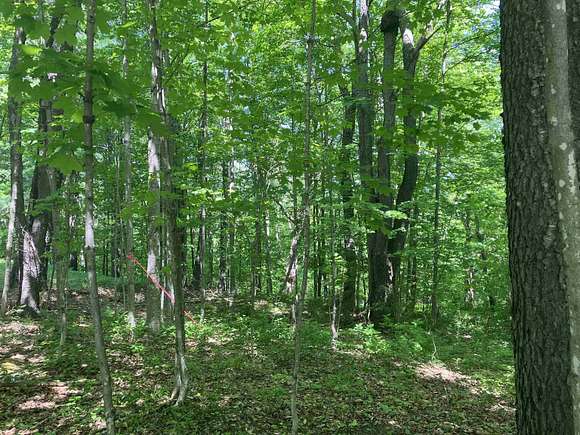 0.56 Acres of Residential Land for Sale in Wilmington, Vermont