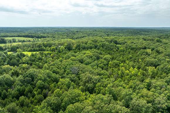 9 Acres of Land for Sale in De Soto, Missouri