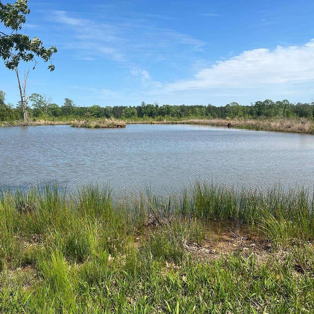 60.75 Acres of Recreational Land for Sale in Liberty, Mississippi