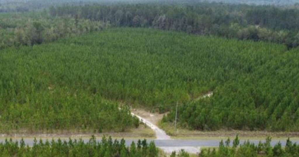 25.7 Acres of Land for Sale in Williston, South Carolina