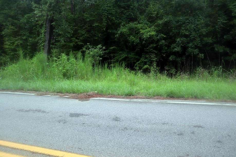 Residential Land for Sale in Sparta, Georgia