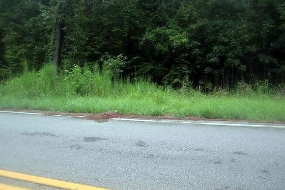 Residential Land for Sale in Sparta, Georgia