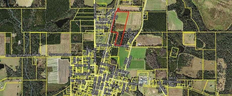 22.69 Acres of Land for Sale in Greensboro, Florida