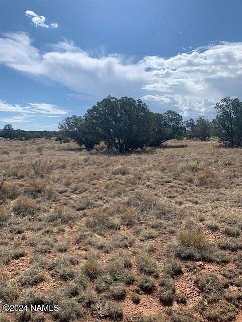 1 Acre of Land for Sale in Williams, Arizona